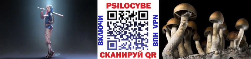 закладка  Одинцово  Псилоцибиновые грибы мухоморы 